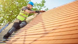 Best Roof Moss and Algae Removal  in Cheney, KS
