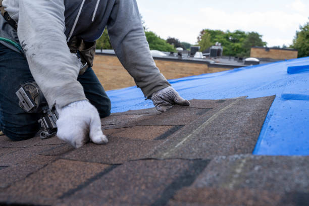 Best Roof Ventilation Installation  in Cheney, KS